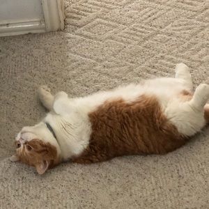 Meet your Posher, Johnny